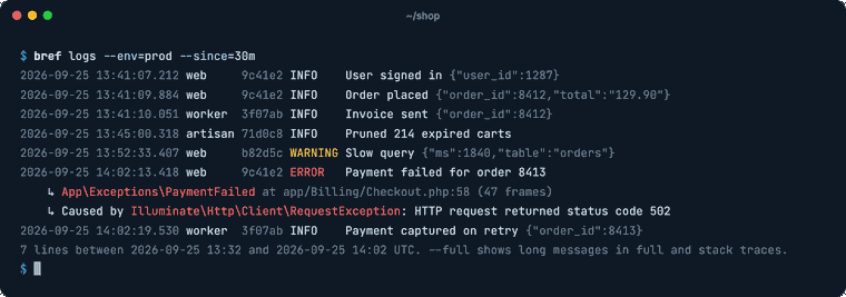 bref logs output in the terminal